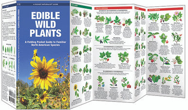 Edible Wild Plants