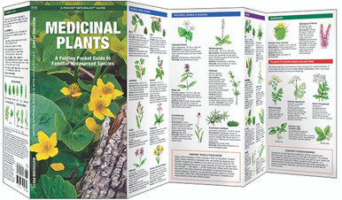 Medicinal Plants