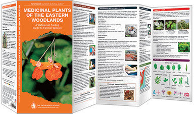 Medicinal Plants Of The Eastern Woodlands