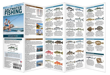 Saltwater Fishing Essentials