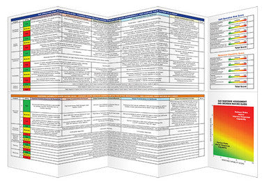 RADeMS Assessment